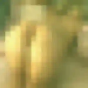 Marie-Louise (40 ans) à Montigny-le-Chartif cherche une rencontre rapidement