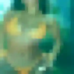 Photo privée de Monique, 29 ans à Montivilliers - rencontre sans lendemain