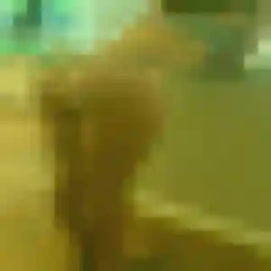 Photo sexy de Judith, 27 ans à Montmacq - rencontre sans lendemain