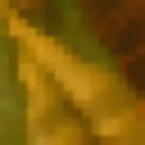 Photo exclusive de Bernadette, 33 ans à Montrevel-en-Bresse - plan discret