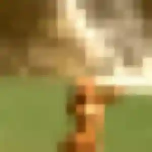 Sexy Nolwenn, 38 ans à Monts - la contacter