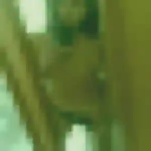 Sexy Martine, 33 ans à Montsalvy - voir sa photo