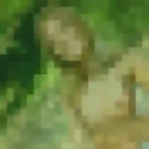 Sandrine, 34 ans, connectée à Montsoult pour une rencontre coquine