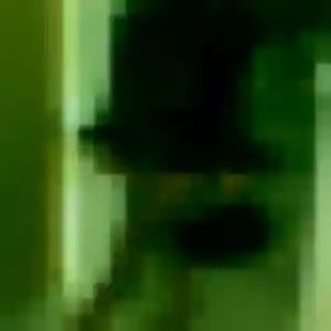 Sexy Fanny, 26 ans à Moulle - la contacter