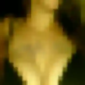 Photo perso de Fleur, 34 ans à Mousseaux-sur-Seine - rencontre coquine