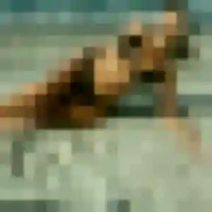 Photo de Ariane à Mouzay (40 ans) - plan cul anonyme