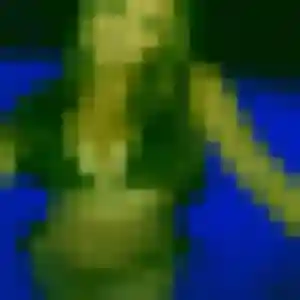 plan cul à Munster : photo de Sibylle, 26 ans - sans engagement