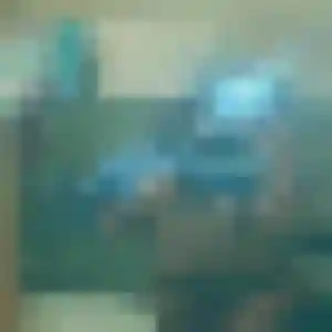 Charmante Adeline, 41 ans à Muret - voir sa photo