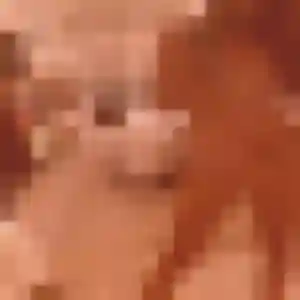 Photo privée de Leila, 35 ans à Naucelle - rencontre coquine
