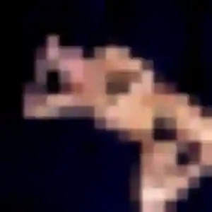 Photo perso de Daphne, 44 ans à Nauviale - plan discret
