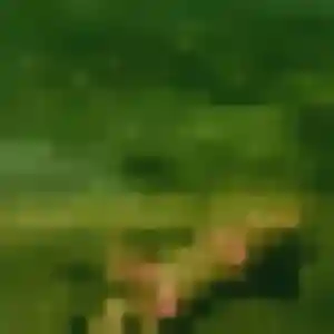 Profil de Thais à Neufchef (34 ans) - plan cul discret