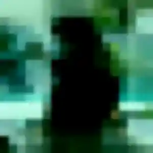 Photo de Wahiba à Neuve-Maison (34 ans) - plan cul gratuit