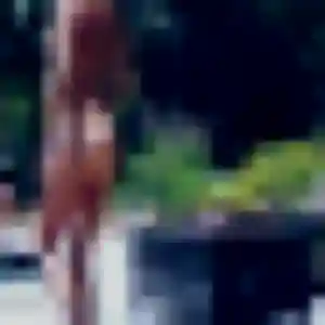 Graziella (27 ans) à Neuvic-Entier cherche une rencontre ce soir