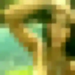 Sexy Isabella, 40 ans à Neuvy - découvrir son profil