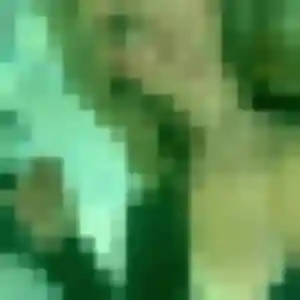 Photo exclusive de Laurence, 32 ans à Nieul-le-Dolent - rencontre coquine