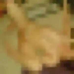 Profil de Ingrid à Nieulle-sur-Seudre (33 ans) - plan cul discret