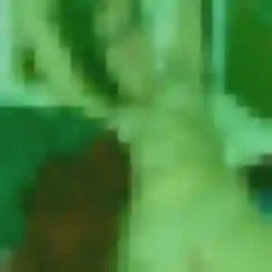 Profil de Monique à Noailly (45 ans) - plan cul anonyme
