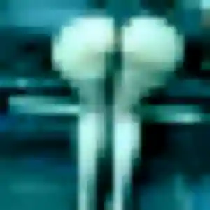 Amandine, 22 ans, cherche un plan cul à Nœux-les-Mines