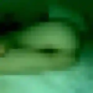 Photo de Kenza à Nogent-le-Rotrou (32 ans) - plan cul sans inscription