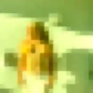 Eglantine, 41 ans, dispo pour plan cul à Nogent-sur-Marne