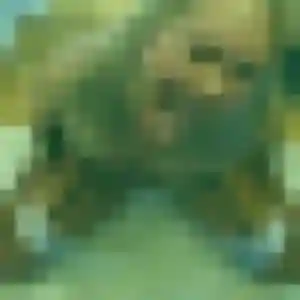 Photo de Zina à Nogent-sur-Oise (34 ans) - plan cul anonyme