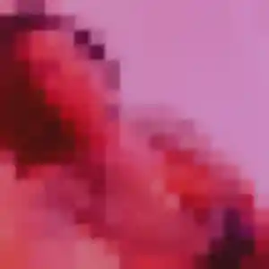 Jolie Jihane, 36 ans à Nohanent - la contacter