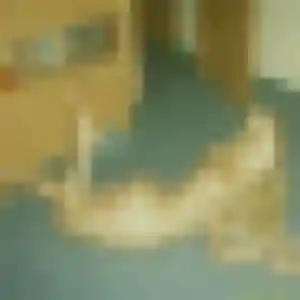 Ketty, 22 ans, dispo pour plan cul à Noisy-le-Roi