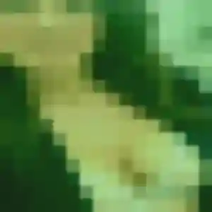 Belle Anne, 45 ans à Noves - la contacter