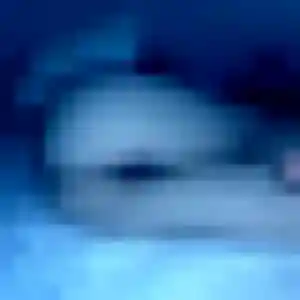 Francine, 22 ans, disponible à Oberhergheim pour un plan cul