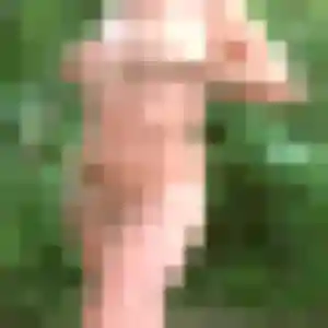 Rencontre Cassandre, 39 ans à Ohnenheim en privé