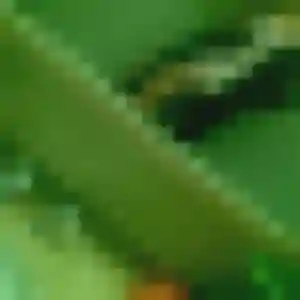 Photo sexy de Johanna, 32 ans à Oisy-le-Verger - rencontre sans lendemain