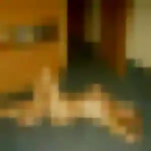 Juliette, 40 ans, dispo pour plan cul à Oncy-sur-École