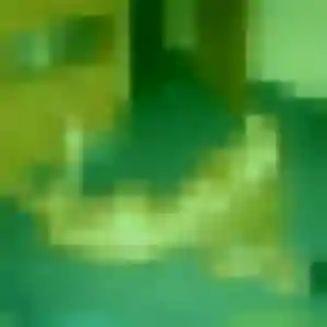 Photo de Leana à Parc-d'Anxtot (31 ans) - plan cul sans inscription