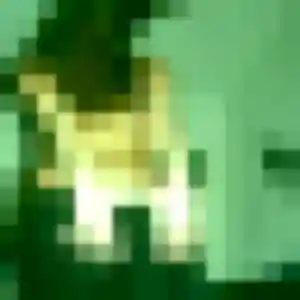 Photo privée de Renee, 24 ans à Parcé - rencontre coquine