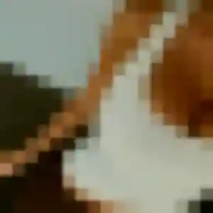 Lou-Anne, 38 ans, dispo pour plan cul à Parigné-l'Évêque