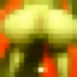 Sexy Yasmine, 37 ans à Parthenay-de-Bretagne - découvrir son profil