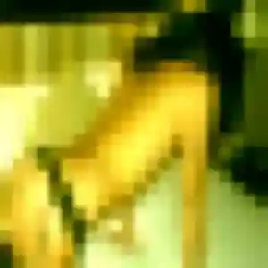 Djamila de Patay, 44 ans - plan cul discret