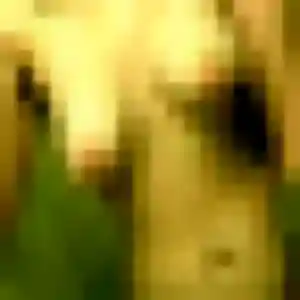 Photo perso de Rebecca, 29 ans à Peyrolles-en-Provence - rencontre coquine