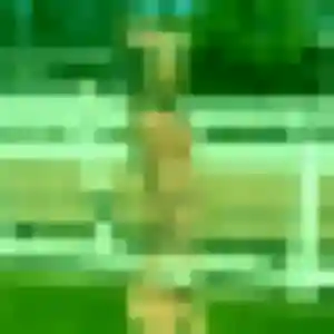 Photo perso de Leila, 30 ans à Pibrac - rencontre coquine