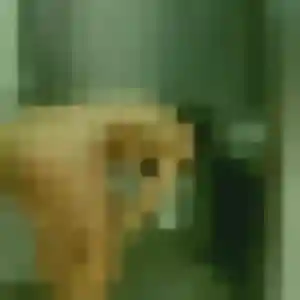 Photo sexy de Nadia, 22 ans à Pierre-Châtel - rencontre coquine