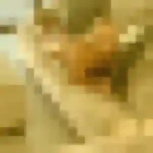 Nina, femme de 31 ans veut plan cul à Pierrefonds