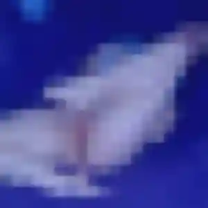 Photo de Juliette à Pierrefort (39 ans) - plan cul discret
