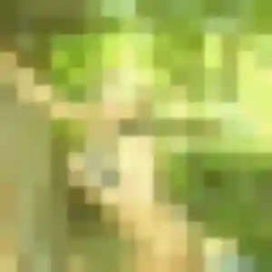 Photo privée de Lucienne, 34 ans à Pierreville - plan discret