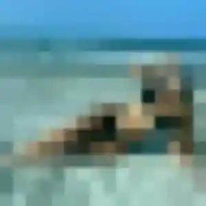 Photo perso de Marie-Line, 33 ans à Piney - plan discret