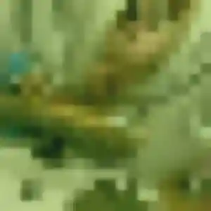 Juliette, 22 ans, dispo pour plan cul à Plateau-des-Petites-Roches