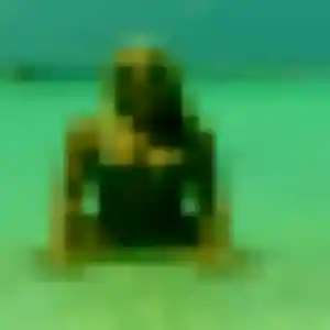 Photo exclusive de Ingrid, 23 ans à Pleine-Fougères - rencontre coquine