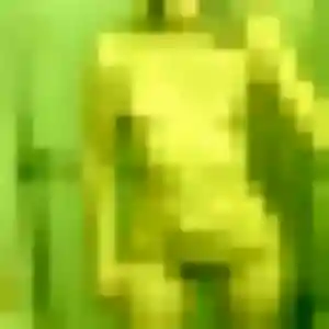 Photo de Alix à Plescop (38 ans) - plan cul anonyme