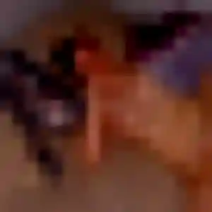 Marie-Line (38 ans) à Plesnois cherche une rencontre aujourd'hui