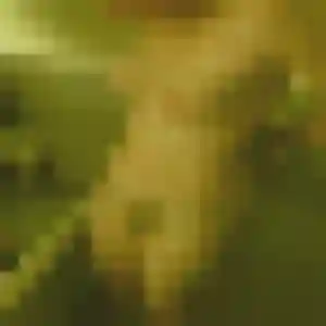 Marilou, 22 ans, dispo pour plan cul à Pleyben