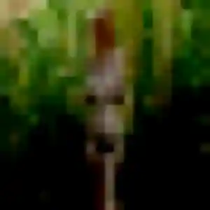 Photo de Tamara à Plomodiern (44 ans) - plan cul gratuit